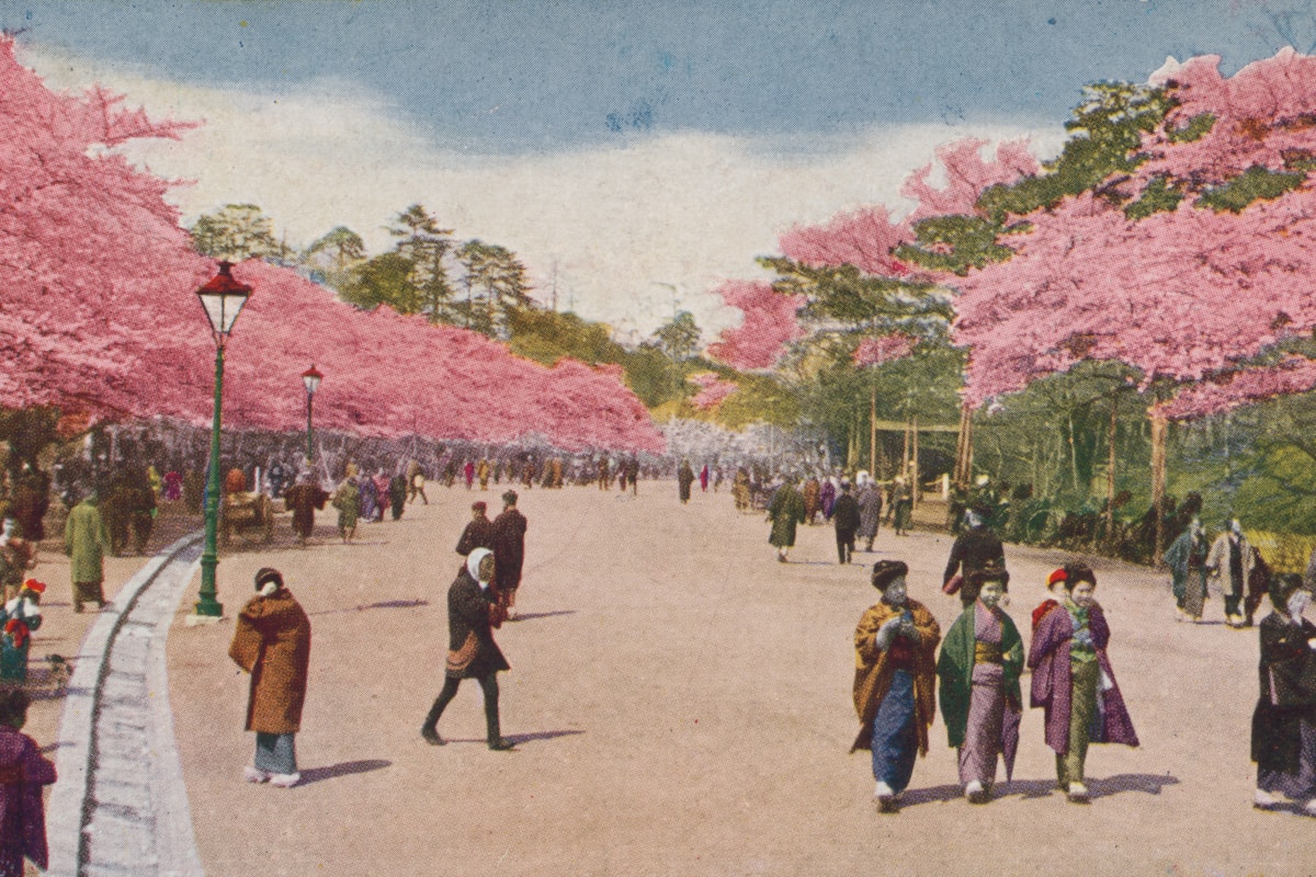 EE business contracts and SIM deals for UK companies